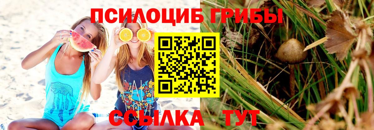 Галлюциногенные грибы прущие грибы Берёзовский