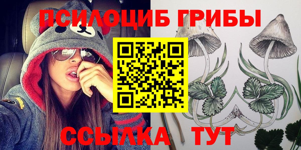 наркота  Вход с VPN  Берёзовский  Псилоцибиновые грибы Psilocybine cubensis  Псилоцибиновые грибы прущие грибы 